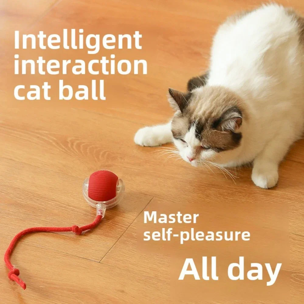 Rechargeable Smart Pet Interactive Rolling Ball- Buy 1 get 1 free