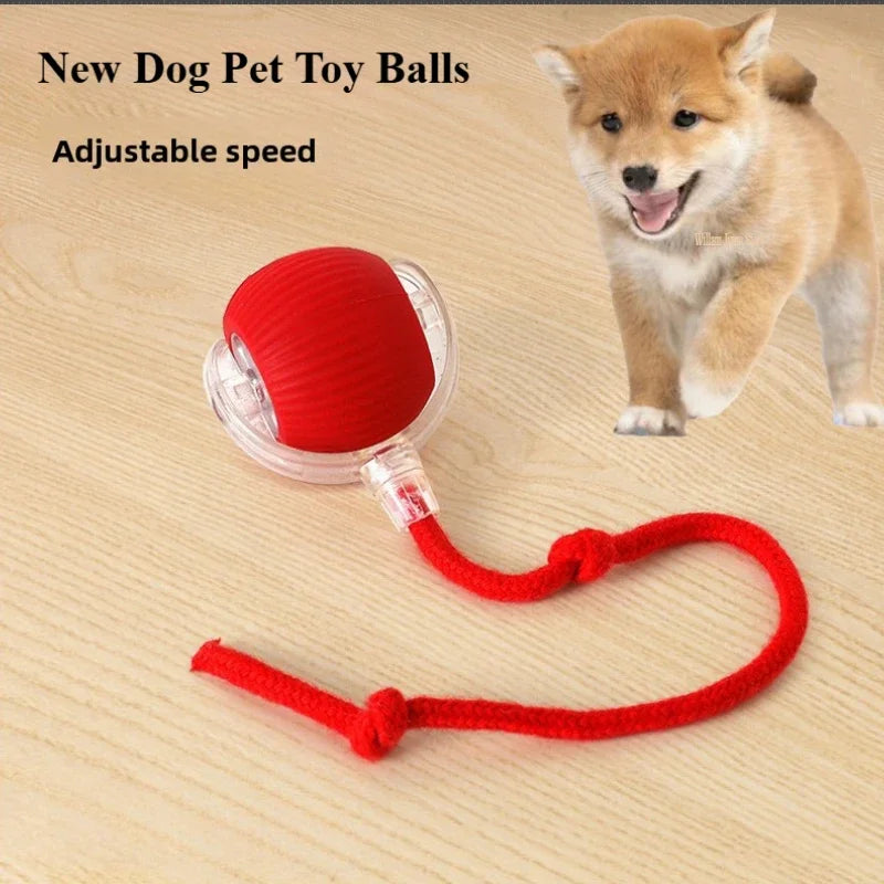 Rechargeable Smart Pet Interactive Rolling Ball- Buy 1 get 1 free