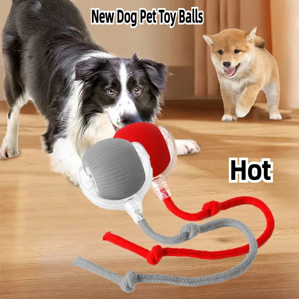 Rechargeable Smart Pet Interactive Rolling Ball- Buy 1 get 1 free